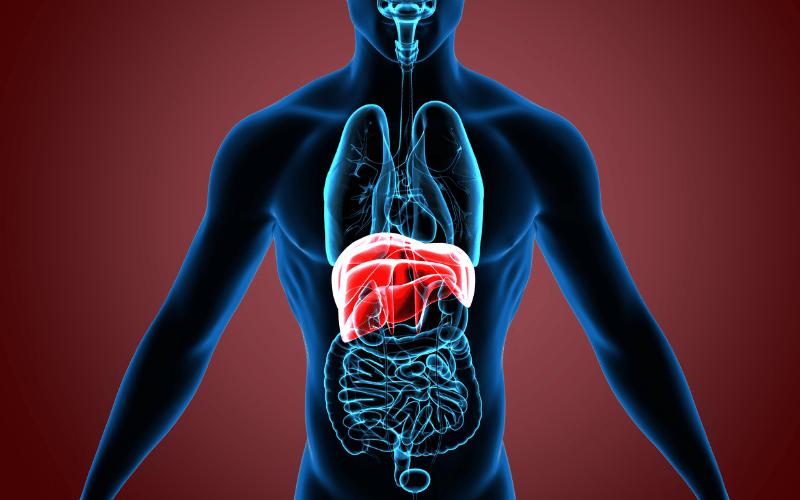 Injuries to the Diaphragm