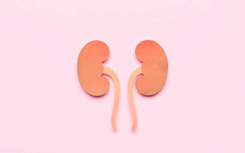 Kidney Problems