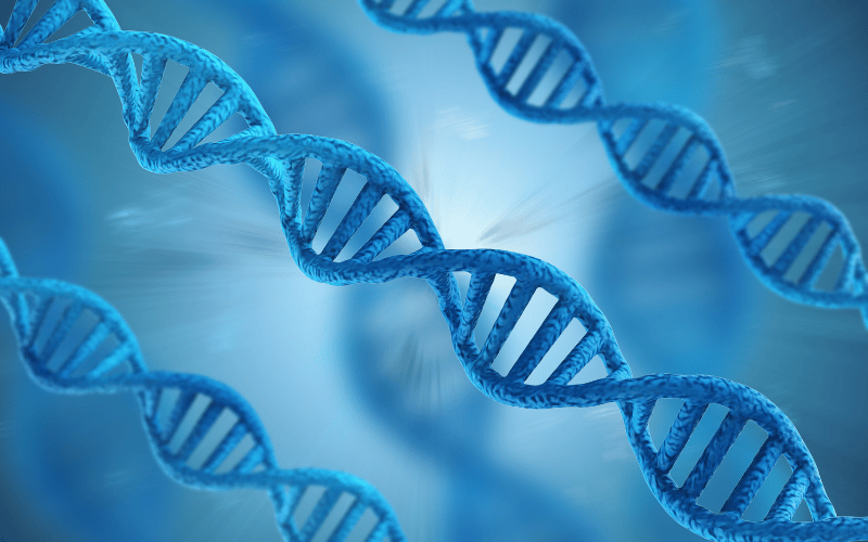 The Genetic Angle - Impact of DNA Mutations