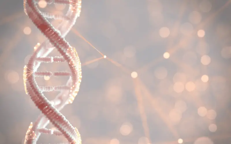 The Genetic Equation - Delving into the DNA