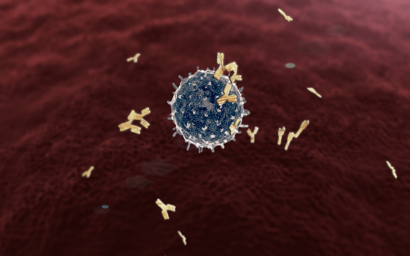 The Staging of CLL