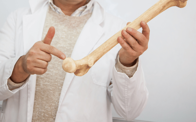 Weak and Brittle Bones The Underestimated Impact of Copper on Bone Health