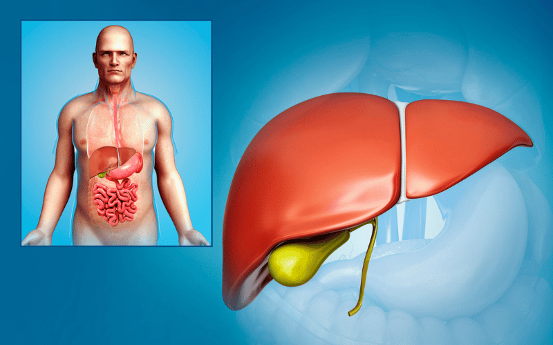 10-alarming-symptoms-of-gallbladder-cancer-get-checked-now-page-2-of-11