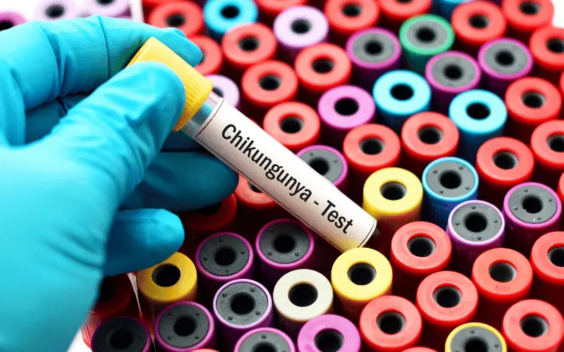 10 Symptoms of Chikungunya Fever Staying Informed and Prepared