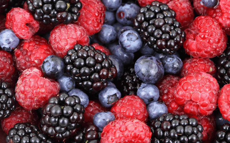 Berries The Antioxidant Reservoir for Lung Repair