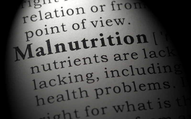 Malnutrition The Silent Thief