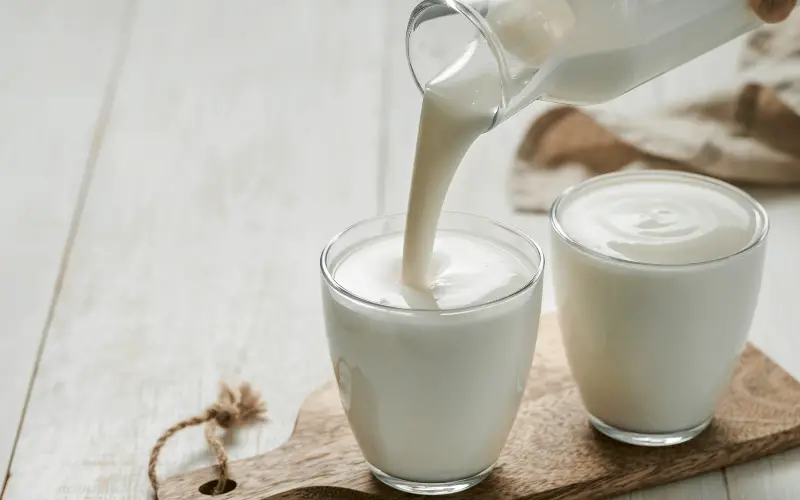 Probiotic Yogurt A Powerhouse for Oral Health