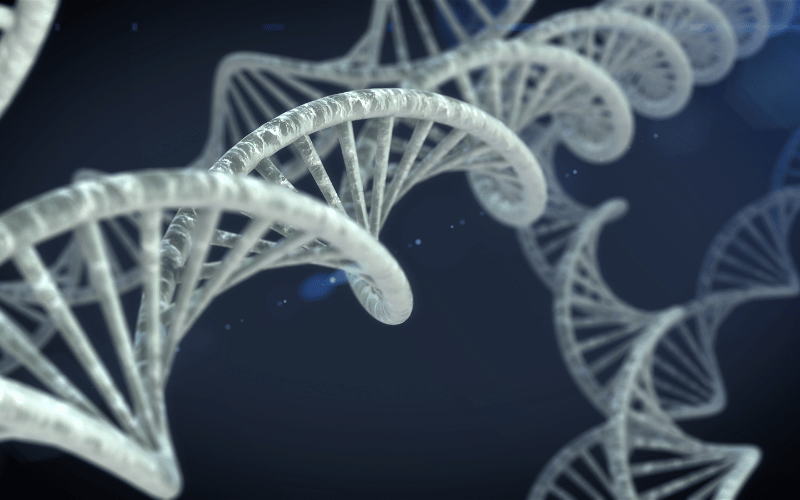 The Genetic Thread Celiac Disease's DNA Connection