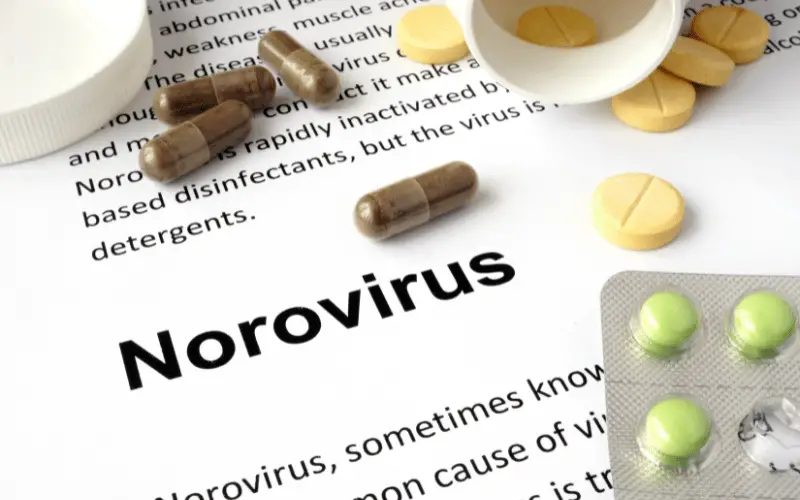 Viral Invasion The Leading Role of Norovirus and Rotavirus