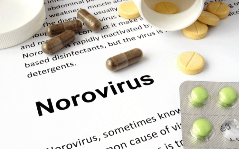 Viral Invasion The Leading Role of Norovirus and Rotavirus