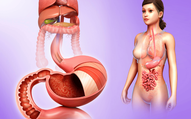 10 Alarming Symptoms of Superior Mesenteric Artery (SMA) Syndrome You Shouldn't Ignore