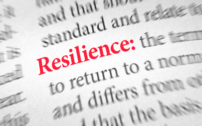 Resilience to External Factors The Stoic Survivors