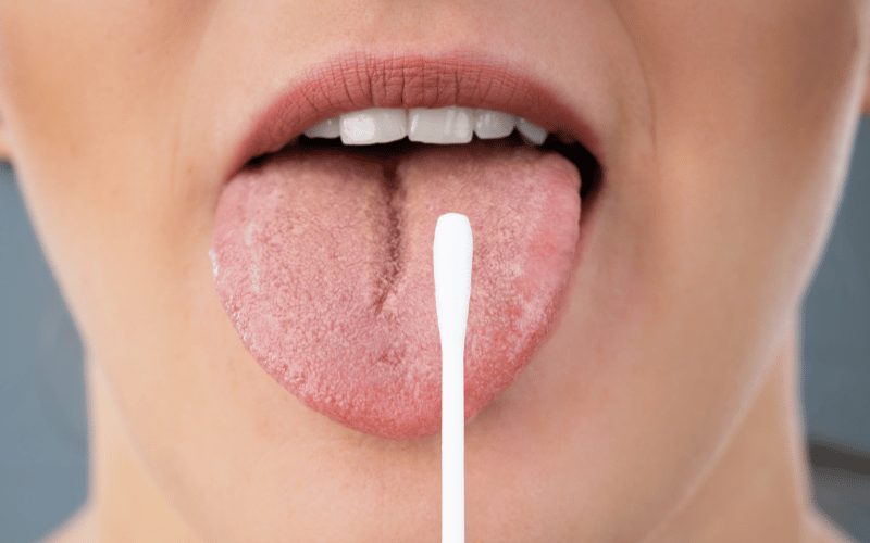 The Role of Saliva More Than Just Digestive Aid