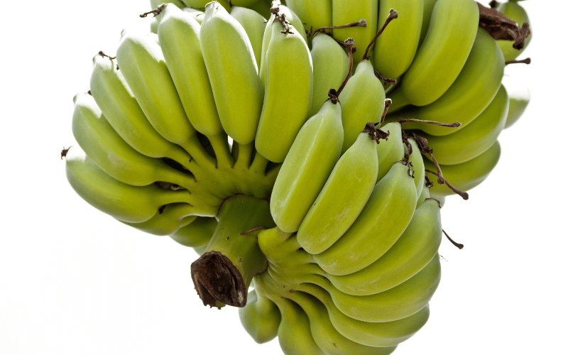 Bananas The Gentle Warriors Against Stomach Ulcers