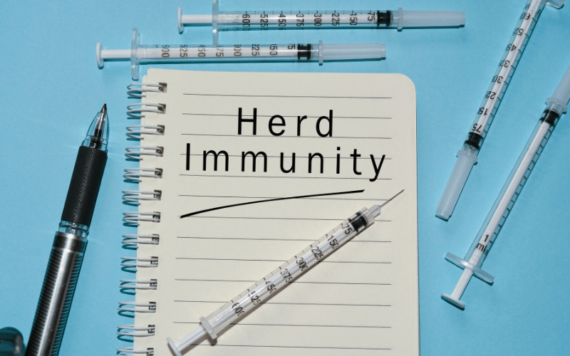 Herd Immunity The Collective Fortress Against Measles