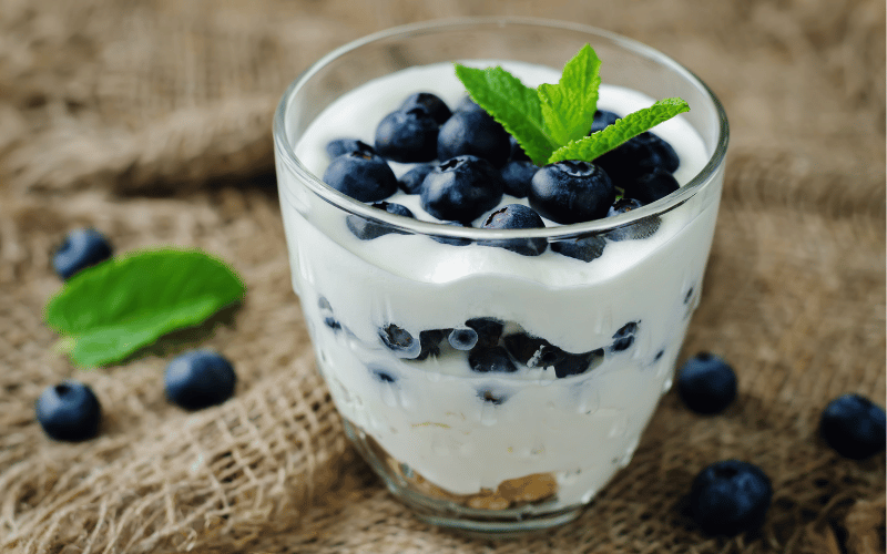 Yogurt The Dairy Dynamo Balancing Your Belly's Bacteria