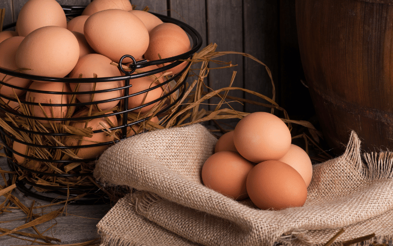 Eggs Nature's Nutrient-Packed Marvel for Celiac Diets