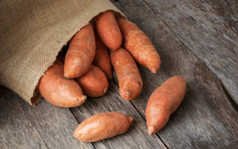 Sweet Potatoes The Nutrient-Packed Gastritis Game Changer