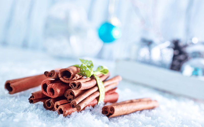 Cinnamon The Spicy Shield against Candida