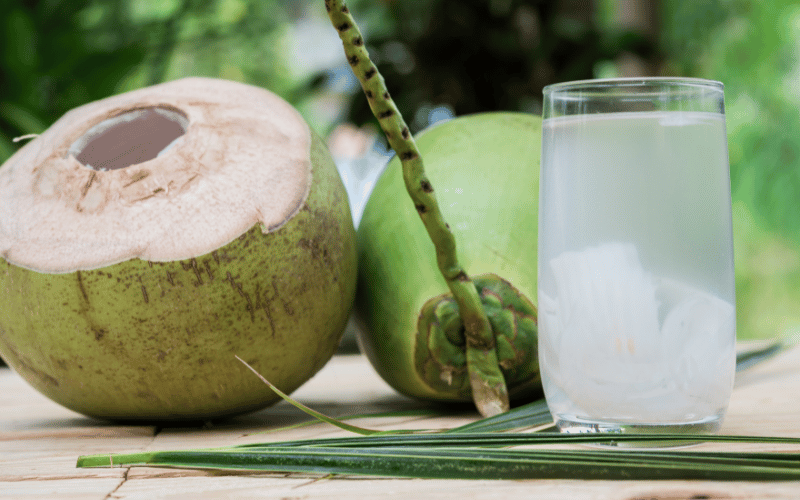 Coconut Water The Tropical Elixir for Gastric Relief