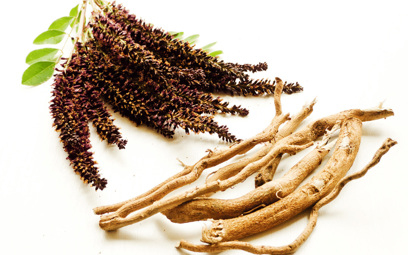 Licorice Root The Sweet Side of Ulcer Relief