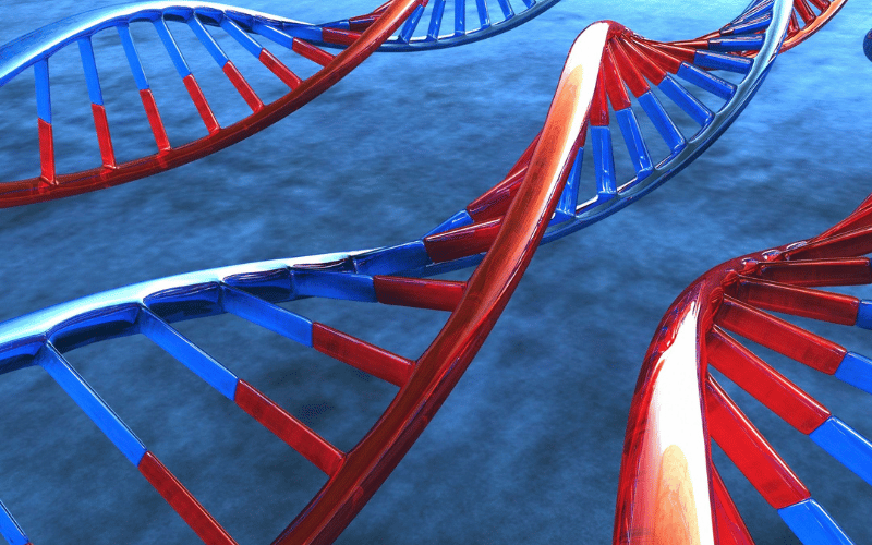 The Genetic Connection Familial Predispositions and BCC