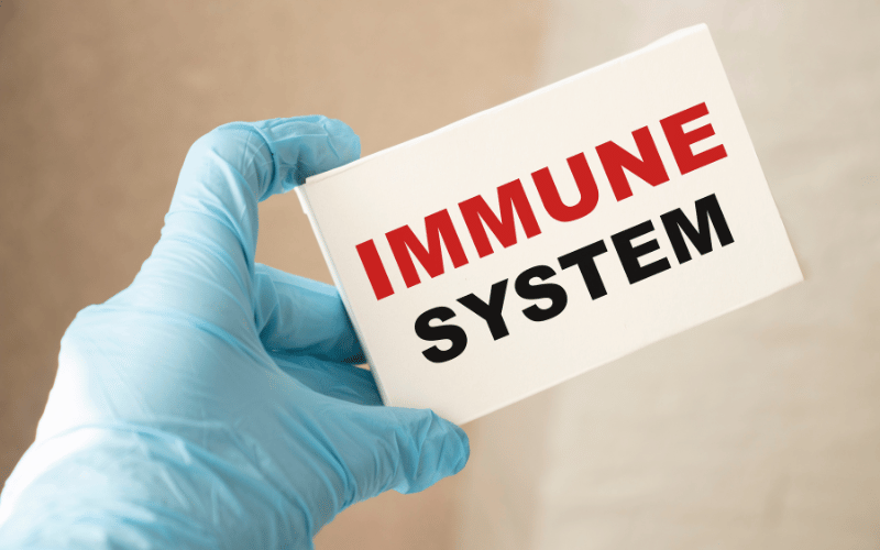 The Role of the Immune System A Fortress Under Siege