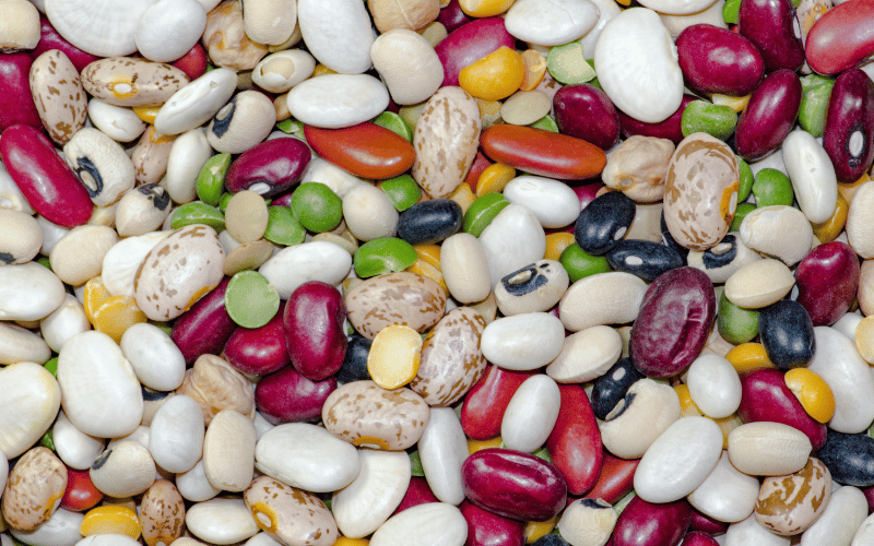 Beans and Legumes Protein-Packed Staples for Celiac Warriors