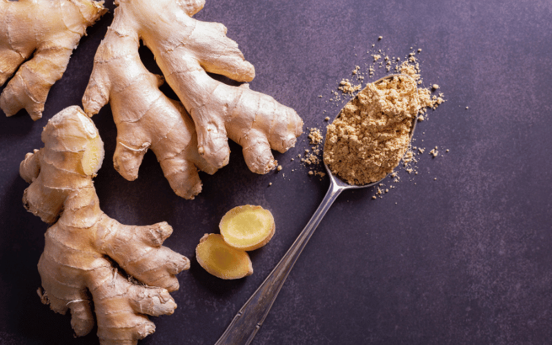 Ginger A Root with Remedial Prowess