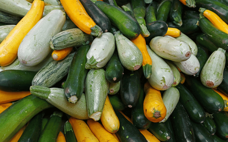 Zucchini The Summer Squash for Digestive Harmony