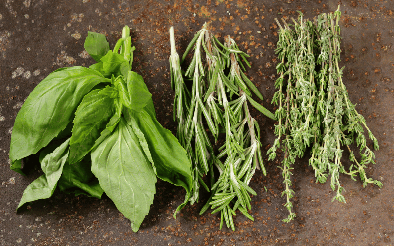 Aromatic Herbs Nature's Flavorful Medicine