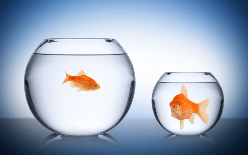 Socioeconomic Status and Healthcare Access The Silent Variables