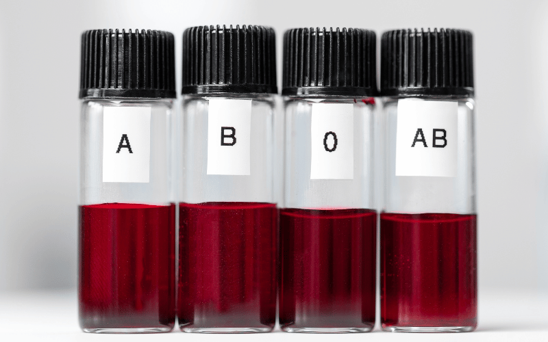 Blood Type Susceptibility The Genetic Roulette