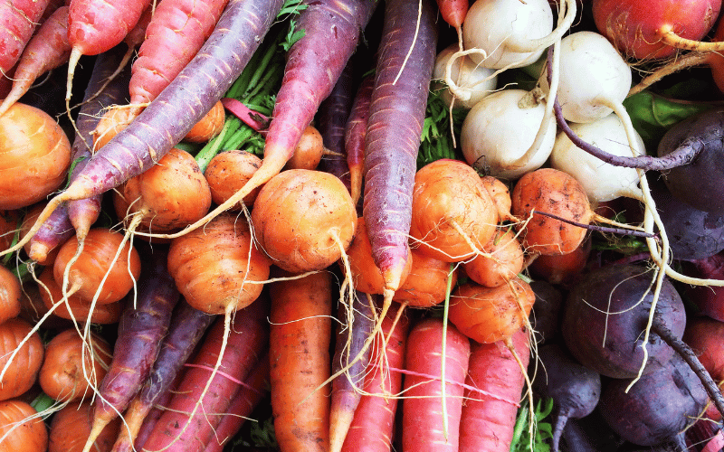 Root Vegetables Grounding Your Diet in Good Health