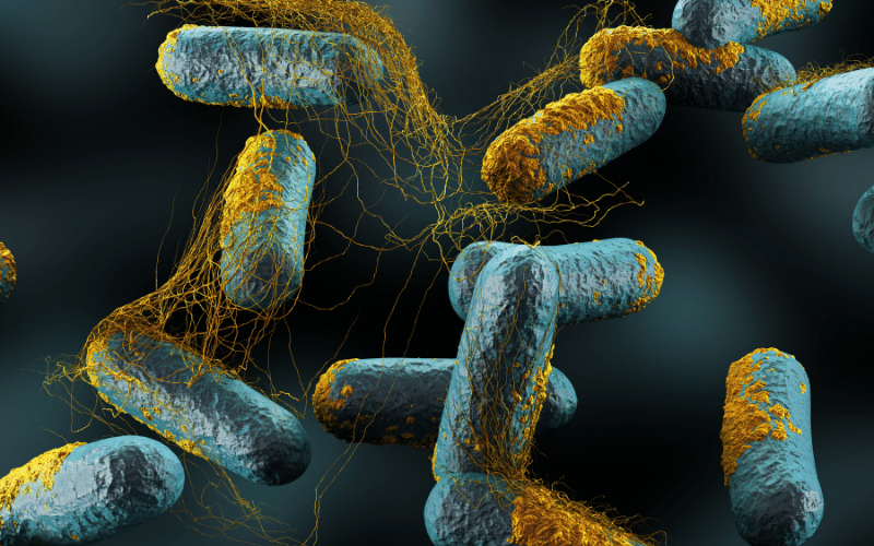 The Clostridium Conundrum An Unwelcomed Guest in Canned Goods