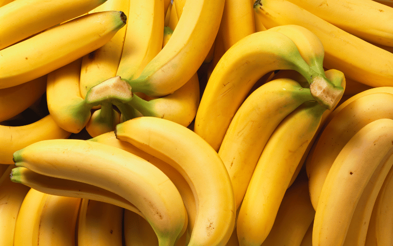 Bananas - The Gentle Fruit Champion