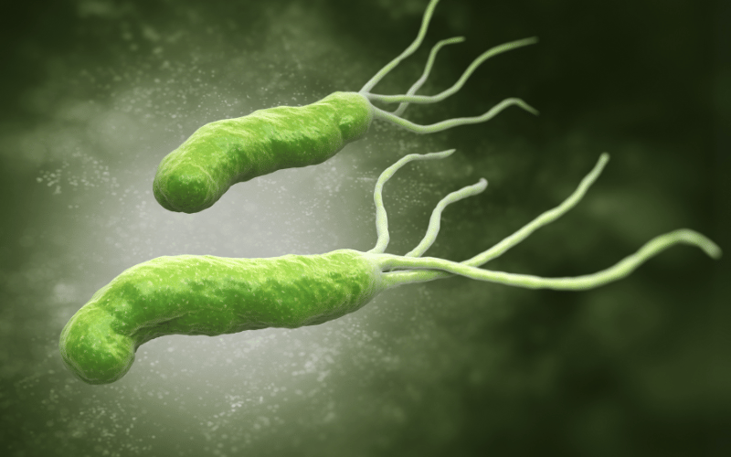 Role of H. Pylori