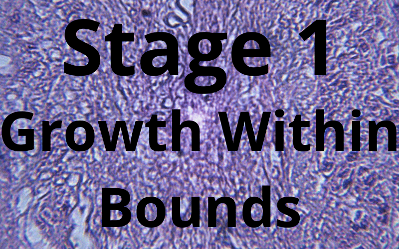 Stage 1 Growth Within Bounds