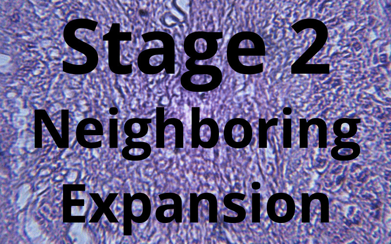 Stage 2 Neighboring Expansion