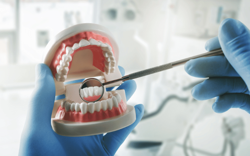 The Role in Dental Health