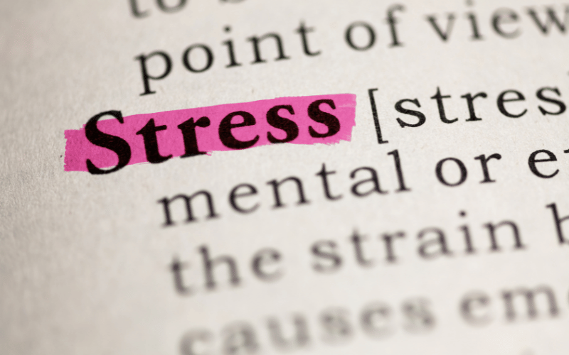 The Role of Stress