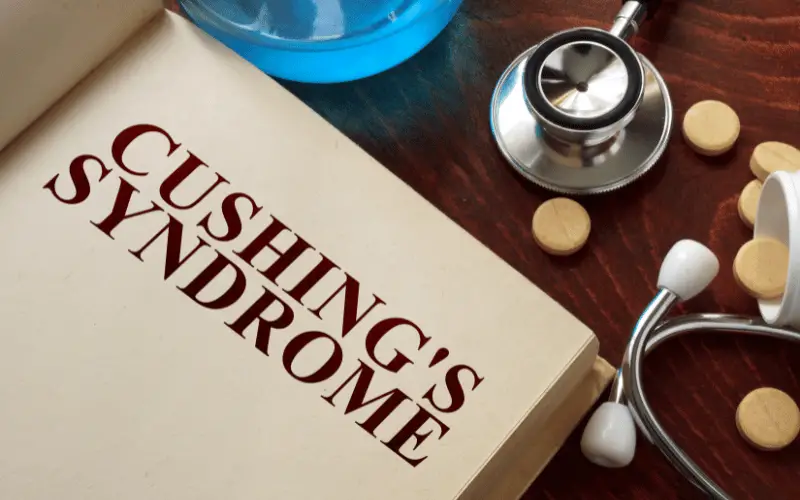 Understanding Cushing's Syndrome
