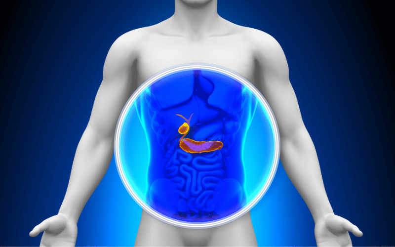 Understanding the 5 Stages of Gallbladder Cancer