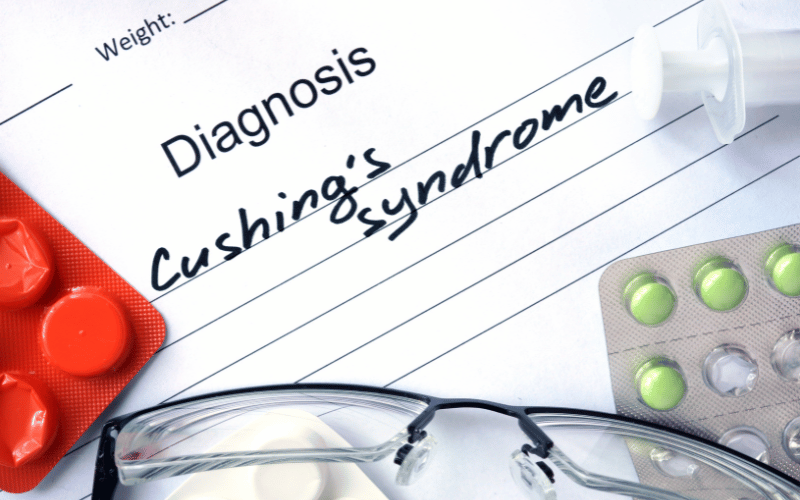 What is Cushing's Syndrome