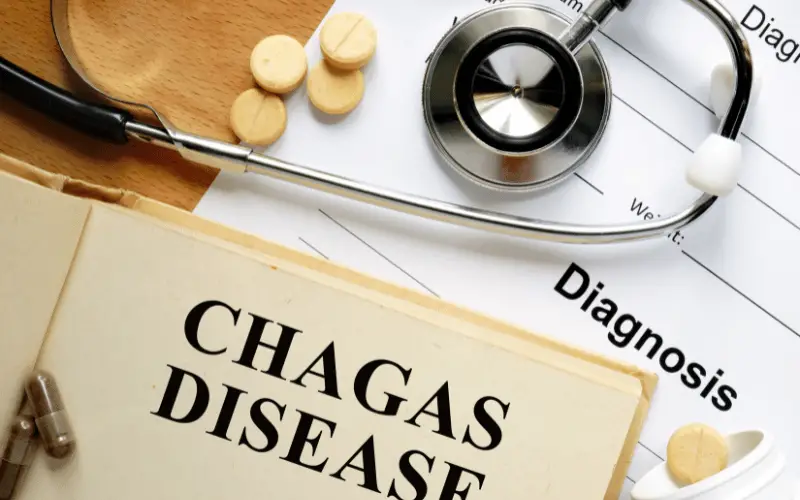 Chagas Disease An Insight into Its Top 10 Symptoms