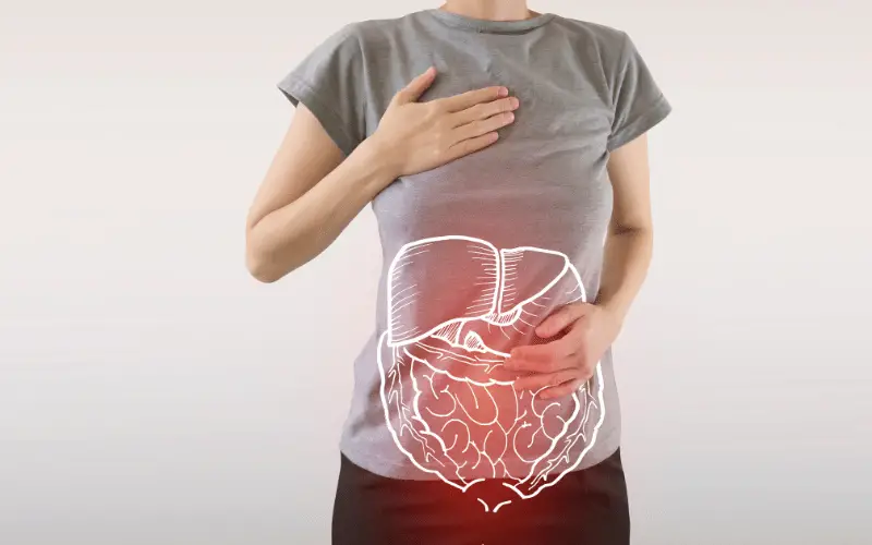 Digestive Dynamics A Journey through the 10 Symptoms of Malabsorption