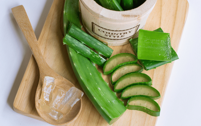 Aloe Vera Nature's Soothing Agent