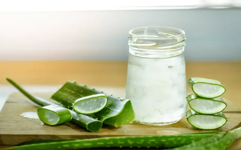 Aloe Vera The Soothing Gel for Aggravated Corners
