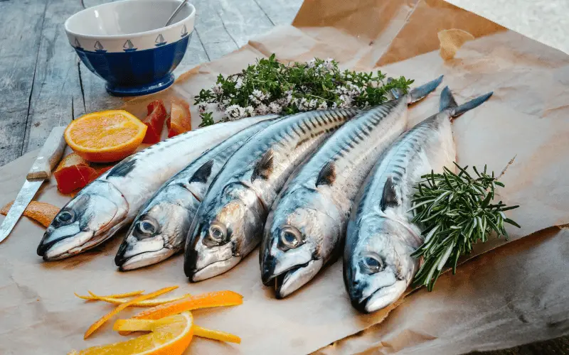 Omega-3 Rich Foods The Heart-Healthy Hero for Ischemic Colitis