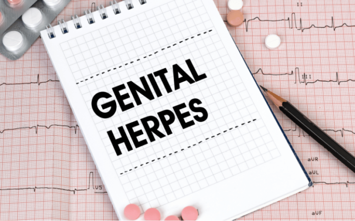 10 Symptoms Of Genital Herpes In Women Identifying And Managing The Tell Tale Signs